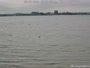 North Muskegon - Muskegon Lake - Ežero pakrantė