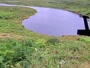 Kodiak - Dog Salmon River