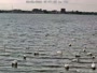 North Muskegon - Muskegon Lake - Lakefront