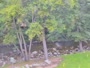 Big Sur - Big Sur River Inn