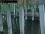 Olanta - Lynches River