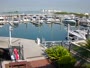 Tampa - Westshore Yacht Club Marina