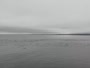 Monterey - Cannery Row