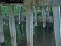 Olanta - Lynches River