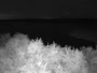 Surry - Hog Island - Wildlife Management Area