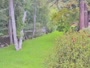 Big Sur - Big Sur River Inn