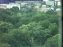 Bostonas - Boston Common