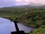 Kodiak - Dog Salmon River