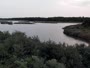 Surry - Hog Island - Wildlife Management Area