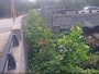 Atlanta - Peachtree Creek