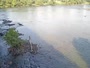 West Columbia - Congaree River