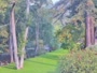 Big Sur - Big Sur River Inn
