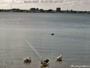 North Muskegon - Muskegon Lake - Lakefront