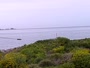 Batemans Bay