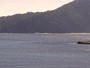 Shoal Bay - Port Stephens Bay