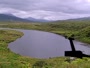 Kodiak - Dog Salmon River