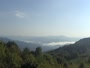 Parc national des Great Smoky Mountains - Purchase Knob