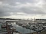 Newport - Embarcadero Marina