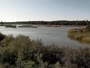 Surry - Hog Island - Wildlife Management Area