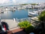 Tampa - Westshore Yacht Club Marina