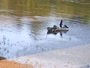 Cayce - Congaree River
