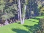 Big Sur - Big Sur River Inn