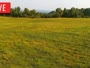 LaFollette - Hatfield Knob Elk