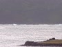 Shoal Bay - Port Stephens Bay