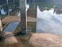 Cayce - Congaree River