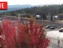 Truckee - Downtown