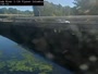 Columbia - Saluda River