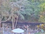 Big Sur - Big Sur River Inn