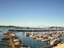 Newport - Embarcadero Marina