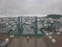 East Greenwich - Greenwich Cove Marina