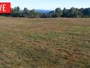 LaFollette - Hatfield Knob Elk