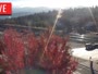 Truckee - Downtown