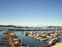 Newport - Embarcadero Marina