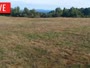 LaFollette - Hatfield Knob Elk