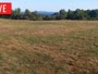 LaFollette - Hatfield Knob Elk