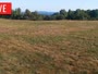 LaFollette - Hatfield Knob Elk