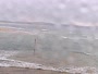 Sussex Inlet - Strand
