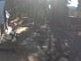 Shaver Lake - Lakeshore Resort