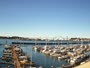 Newport - Embarcadero Marina