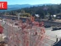 Truckee - Downtown