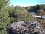 Falmouth - Waquoit Bay Reserve - Osprey Nest