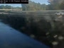 Columbia - Saluda River