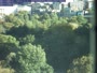 Bostonas - Boston Common