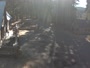 Shaver Lake - Lakeshore Resort