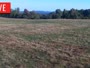 LaFollette - Hatfield Knob Elk