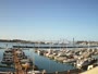 Newport - Embarcadero Marina